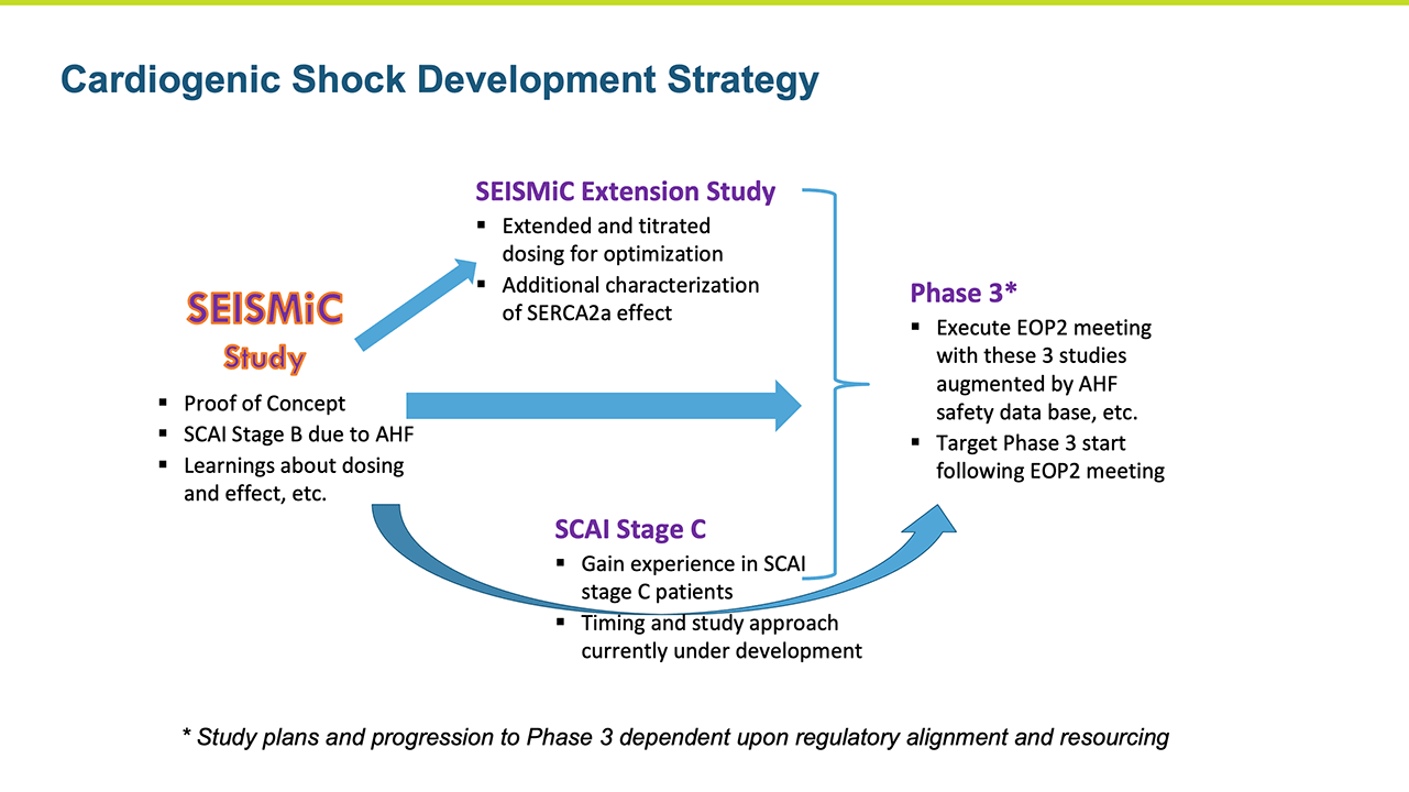Cardiogenic Shock Development Strategy
