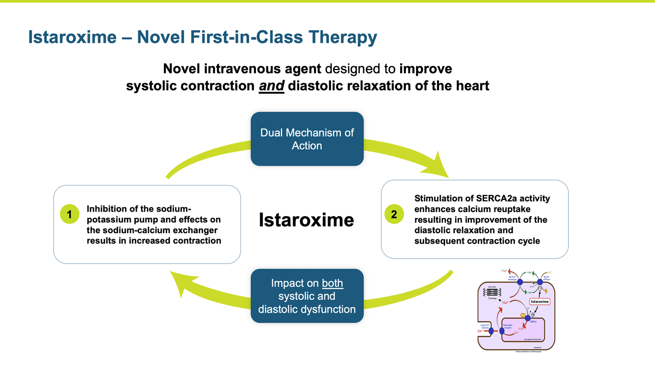 Istaroxime Novel First-in-Class Therapy
