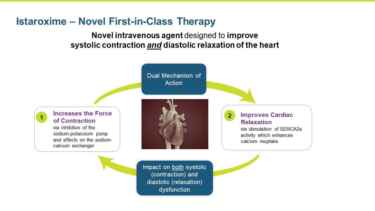 Istaroxime – Novel First-in-Class Therapy