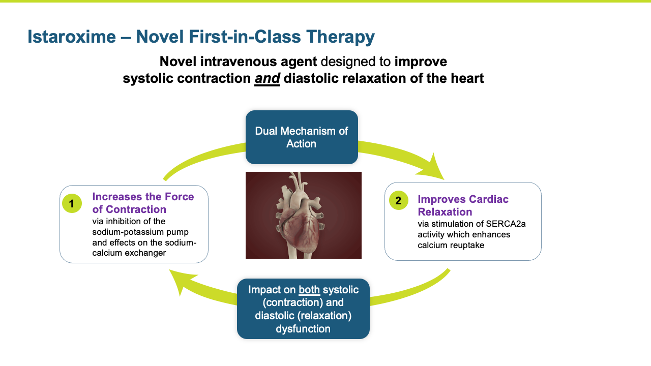 Istaroxime – Novel First-in-Class Therapy